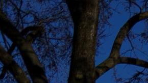 Fotografía del 3 de marzo de 2025 del Casa Blanca en Washington (Estados Unidos).