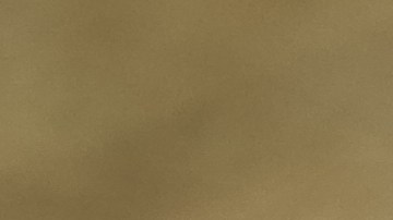 El IRS comenzó a enviar los pagos automáticamente en diciembre de 2024, ya sea mediante depósito directo o por correo con un cheque en papel.