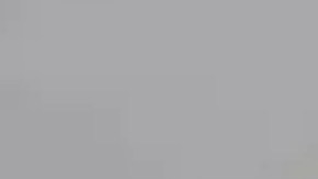 Foto policial de Willie Frank Peterson, de 52 años, detenido en Alabama.