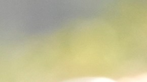 Daniel Noboa se reunirá en EE.UU. con Trump: seguridad y migración en la agenda