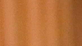 En redes sociales, el nombre de Demi Moore se convirtió en tendencia.