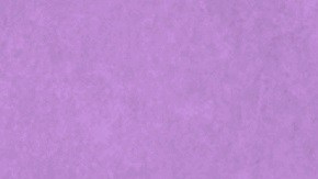 La mujer y su espíritu de lucha.