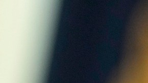 Trump firmó orden ejecutiva que declara el inglés como el idioma oficial de Estados Unidos