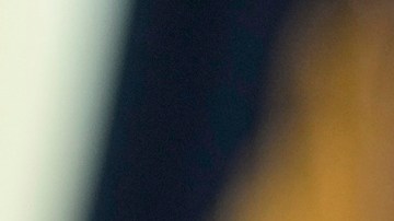 Trump firmó orden ejecutiva que declara el inglés como el idioma oficial de Estados Unidos