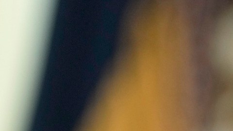 Trump firmó orden ejecutiva que declara el inglés como el idioma oficial de Estados Unidos