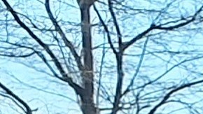 Para algunos jubilados y pensionados consultados, es un momento para sentir temor. Otros piensan que están "ordenando" un sistema corrupto.