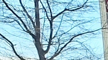 Para algunos jubilados y pensionados consultados, es un momento para sentir temor. Otros piensan que están "ordenando" un sistema corrupto.