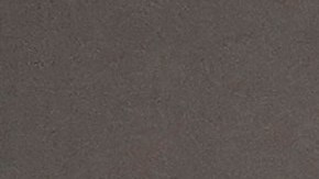 Fernando Costa durante la presentación de Oscar Villegas como DT de Bolivia.