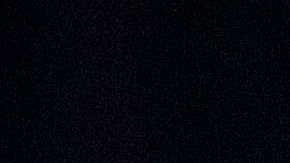 La aparición pública de Gisele no tardó en generar una ola de reacciones