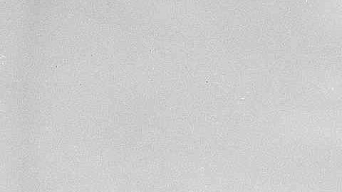 Jackie Robinson con los Montreal Royals