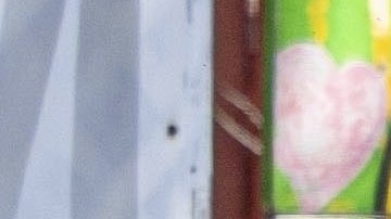 Jason Momoa y Adria Arjona disfrutan de realizar viajes juntos.