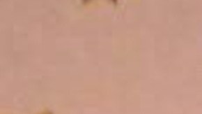 EE.UU. sobre futbolista venezolano deportado a El Salvador: "Tiene tatuajes del Tren de Aragua"