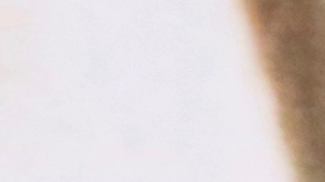 Sophie Turner y Joe Jonas se divorciaron en 2024.