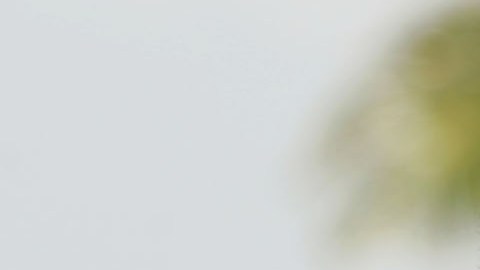 Kanye West y "Diddy" Combs han compartido una relación cercana a lo largo de los años.