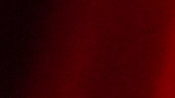 Kylie Jenner dejó a sus seguidores completamente fascinados.