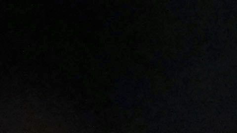LaVar Ball sonríe en un partido entre los Charlotte Hornets y los Indiana Pacers en 2024.