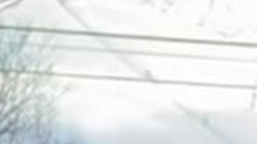 Dónde está detenido Leonel Moreno en medio de las deportaciones de venezolanos