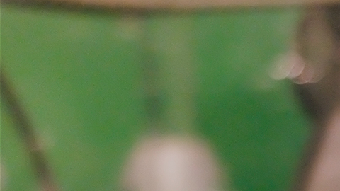 LOTERÍAS NUEVA JERSEY