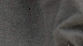 Arizona y Texas lideran cargos contra inmigrantes en masiva operación federal