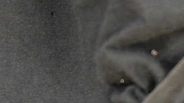 Arizona y Texas lideran cargos contra inmigrantes en masiva operación federal