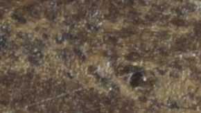 Si crees tener una moneda valiosa, puedes acudir a expertos en numismática para autenticarla y conocer su valor real en el mercado.