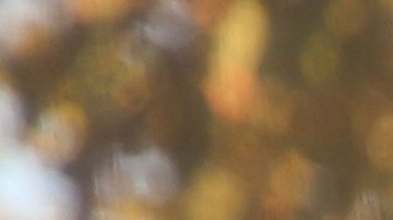 mujer-estacion-de-gasolina-flroida