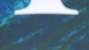 Tras su divorcio con Benjamin Millepied, Natalie Portman parece haber encontrado un nuevo amor.