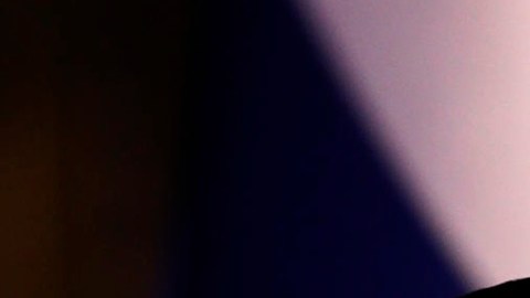 Nayib Bukele se reunirá con Trump en la Casa Blanca: "Traeré varias latas de Coca-Cola Light"