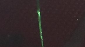 Jugadores del Newcastle celebran tras ganar la Carabao Cup.