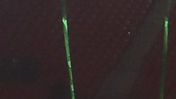 Jugadores del Newcastle celebran tras ganar la Carabao Cup.