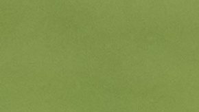 Neymar durante un entrenamiento con la selección de Brasil.