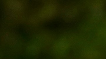 Christina Fulton alegaba que Nicolas Cage no había intervenido ni tomado las medidas necesarias para evitar la conducta agresiva de su hijo.