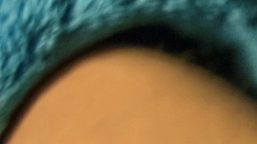 ICE detuvo a madre y hermano de joven con cáncer en los huesos en California