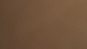 DYCD ha operado y supervisado la ‘Iniciativa de Paternidad’ durante más de 20 años.