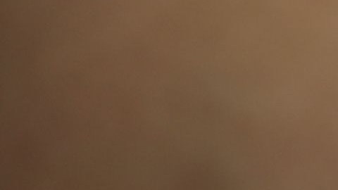 DYCD ha operado y supervisado la ‘Iniciativa de Paternidad’ durante más de 20 años.