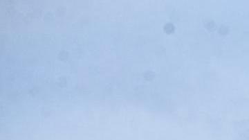 Las ventanas del Palacio Apostólico Vaticano, desde donde el papa Francisco suele dirigir el rezo del Ángelus, con vistas a la plaza de San Pedro, Ciudad del Vaticano, 09 de marzo de 2025.