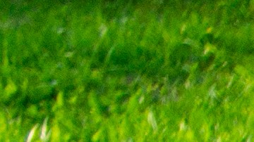 La piscina que oferta Walmart no requiere herramientas para su instalación y su tapón de drenaje permite vaciarla de forma sencilla (Imagen referencial, no es el producto real).