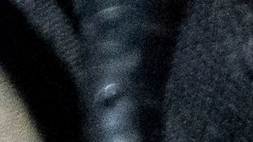 Foto referencial de agentes del ICE durante una redada.