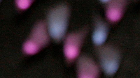 Reinaldo Herrera y Carolina Herrera estuvieron casado por más de 55 años.