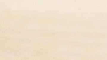 Aprende trucos para preparar la carbonara que elevarán el sabor de tus preparaciones.