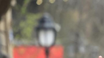 Más de 2,000 aficionados de la Roma dijeron presente en el estadio de San Mamés para alentar a su equipo en el partido ante el Athletic de Bilbao por los octavos de final de la Europa League.