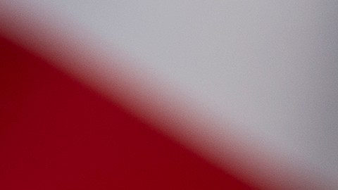 seguro-social-marzo-2025