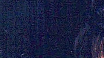 Yolanda Saldívar le arrebató la vida a Selena Quintanilla el 31 de marzo de 1995.