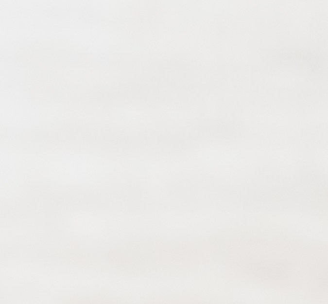 Los compuestos del jengibre y la cúrcuma ayudan a fortalecer el sistema inmunitario.