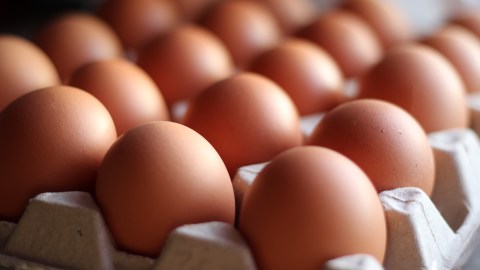 Encuentra el mejor precio de huevo