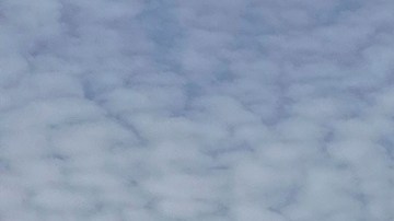 Padres hispanos vieron por videollamada el funeral de su hijo que murió al intentar cruzar a EE.UU.