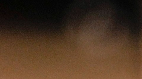 ¿Cuántos venezolanos deportados por EE.UU. tienen órdenes de captura en su país?