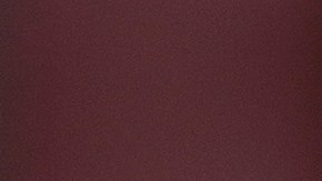 Vittoria, de 26 años, y Leonardo, de 50, han estado saliendo desde 2023.