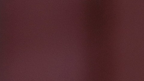 Vittoria, de 26 años, y Leonardo, de 50, han estado saliendo desde 2023.