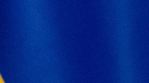 Zelenski pidió a Trump que convenza a Putin para que acepte la tregua